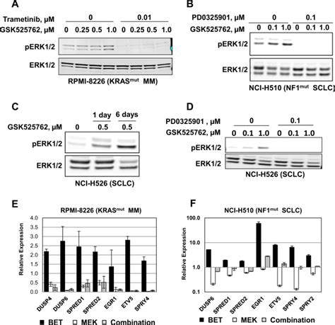 MEK Inhibitors Overcome Resistance To BET Inhibition Across A Number Of