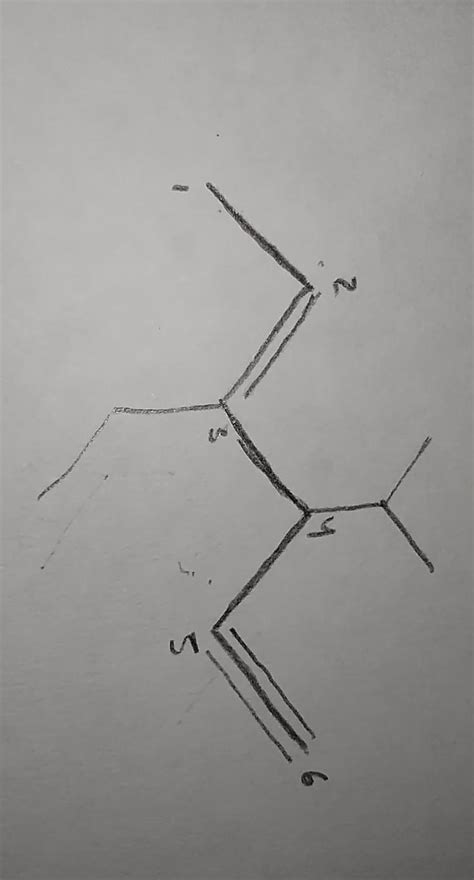 3 Etil 4 Isopropil 2 Hexen 5 Ino Brainly Lat