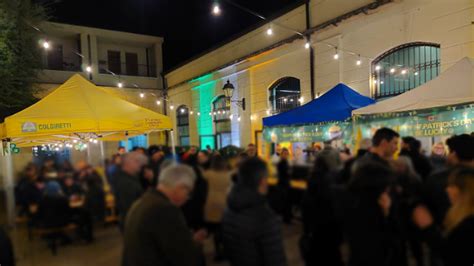 La Grande Festa Di San Patrizio Nel Cuore Di Verona