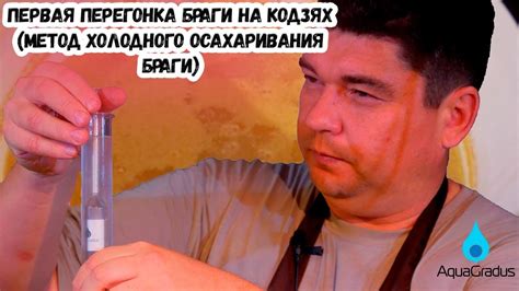 Первая Перегонка Браги На Дрожжах Кодзи (холодное осахаривание) - YouTube