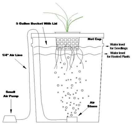 How To Start Indoor Growing Hydroponics For Beginners