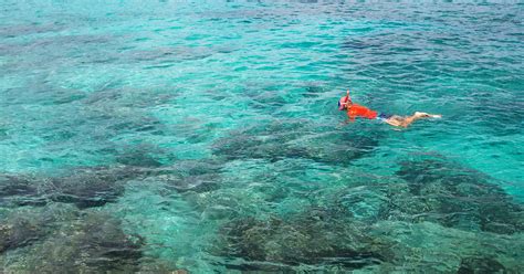 Molokini Snorkel Boat Tickets | Discount on Catamaran Snorkeling