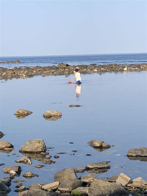 JENNESS STATE BEACH - Updated January 2025 - 16 Photos - 2280 Ocean ...