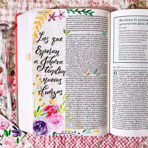 Las Mejores Y Favoritas Biblias Para Mujer Top Biblia