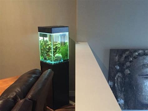 3 Best 15-gallon High (Tall) Aquariums For Your Fish Pets