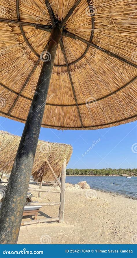 Summer View from Hotel and Resort. Editorial Stock Image - Image of ...