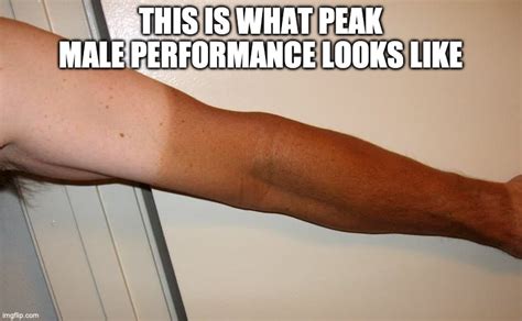 Peak Male Performance Rmemes Know Your Meme