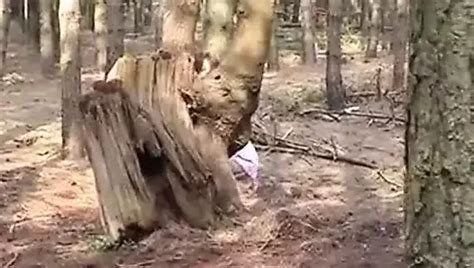 Woodland Porn Videos Xhamster