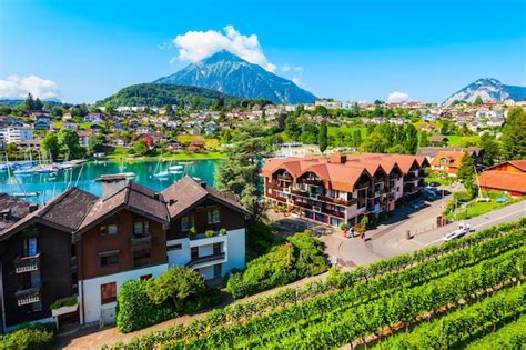 Premium Photo | Vineyards in spiez town switzerland