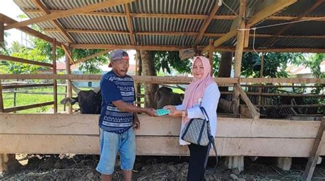 Dinas Kpp Kota Gorontalo Lakukan Pemantauan Dan Pemeriksaan Hewan