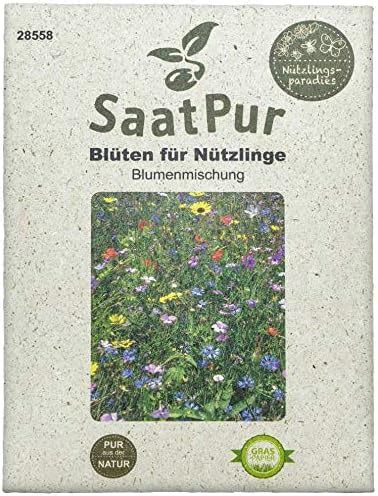 Saatpur Blumenmischung Bl Ten F R N Tzlinge Blumenwiese Blumenmischung