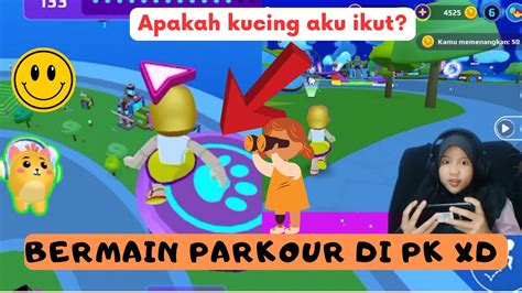 Kucing Ikut Bermain Parkour Di Pk Xd Youtube