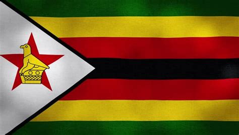 "Zimbabwe Bird" Images – Browse 126 Stock Photos, Vectors, and Video ...