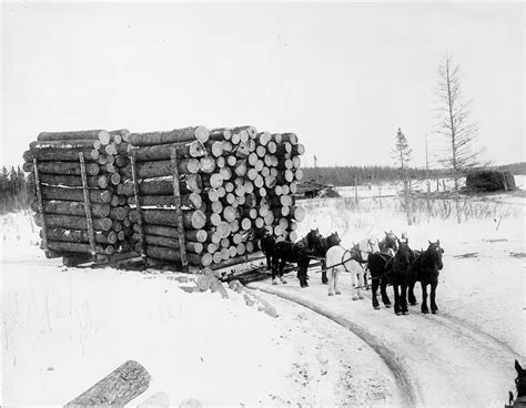 Logging History In Montana Montana History Portal