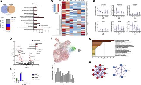 Microglial Gene Signature During Development A 906 Genes Chosen From Download Scientific