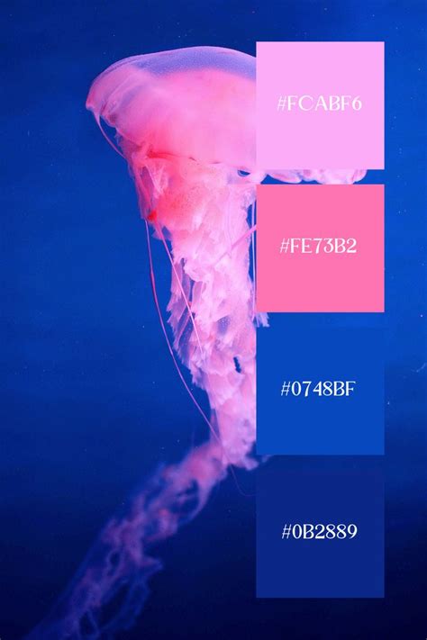 Blue Pink Color Palette Color Scheme Generator In 2024 Color Palette Pink Color Palette