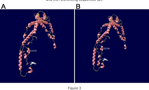 A Novel Sptb Gene Mutation In Neonatal Hereditary Spherocytosis A Case