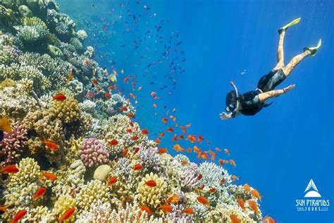 2024 Hurghada Snorkeling Trip To Giftun Island Tripadvisor