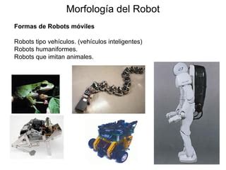 Morfologia Del Robot PPT Descarga Gratuita