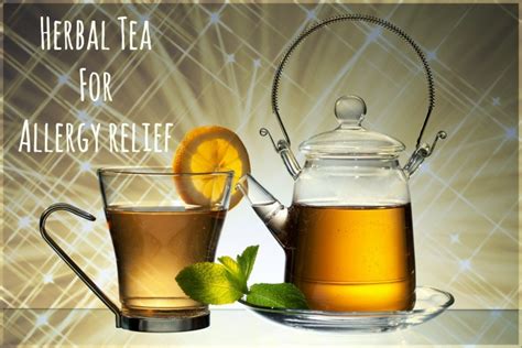 Best Herbal Teas For Allergy Relief Remedygrove