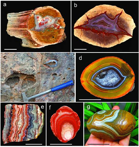 Compilation Showing The Different Main Agate Types A Lithophysa