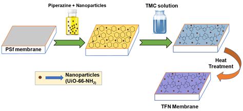 Membranes Free Full Text Development Of Antifouling Thin Film