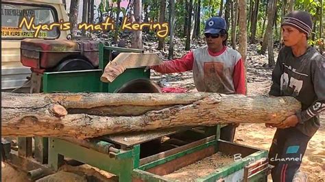 Proses Pembuatan Papan Kayu Jati Dengan Gergaji Mesin Serkel Rakitan