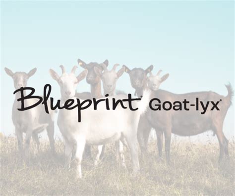 Crystalyx 3 Reasons To Supplement Goats With CRYSTALYX