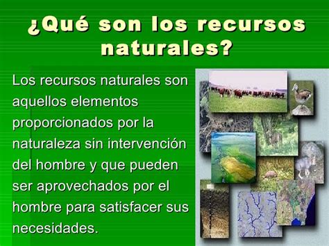 Ejemplos De Recursos Naturales Ejemplos De Images