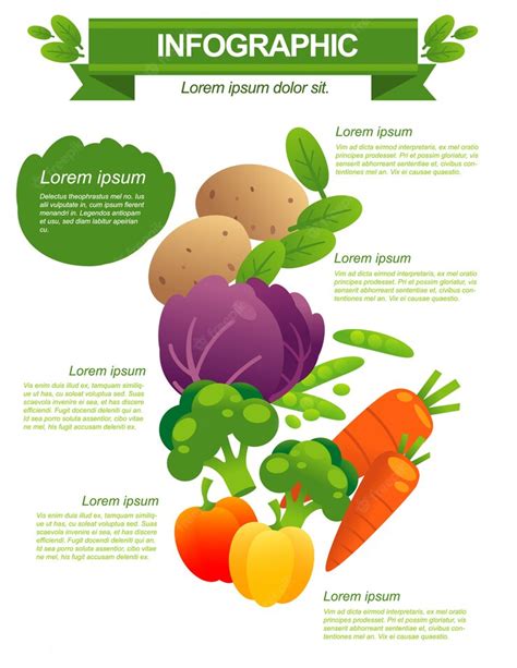 Premium Vector Vegetables Infographic