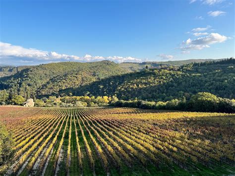 Wine Tour in Tuscany (Siena): All You Need to Know BEFORE You Go