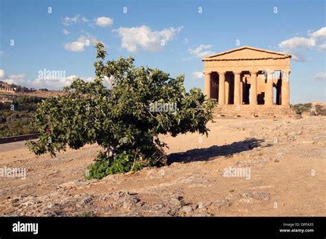 The Concordia Temple, Valley of the Temples, Agrigento, UNESCO World ...