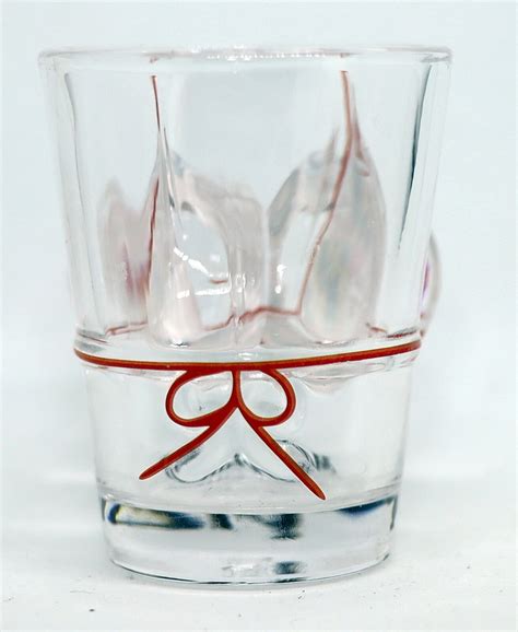 Maryland Flag Bikini Bust 3d Shot Glass Etsy