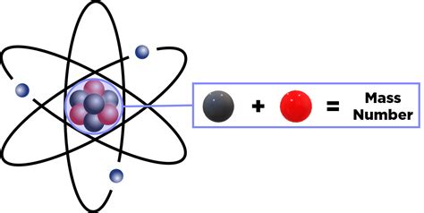 Mass Number — Definition And Overview Expii