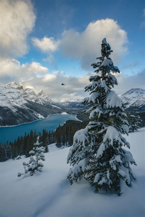 Winter Walks with Photo Ops in the Mountains - Avenue Calgary