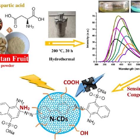 The Synthesis Optical Properties And Applications Of N Cds