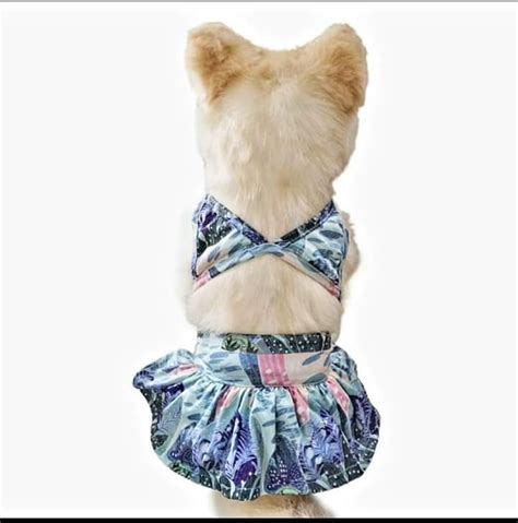 Pet Bikini Pet Supplies Homes Other Pet Accessories On Carousell