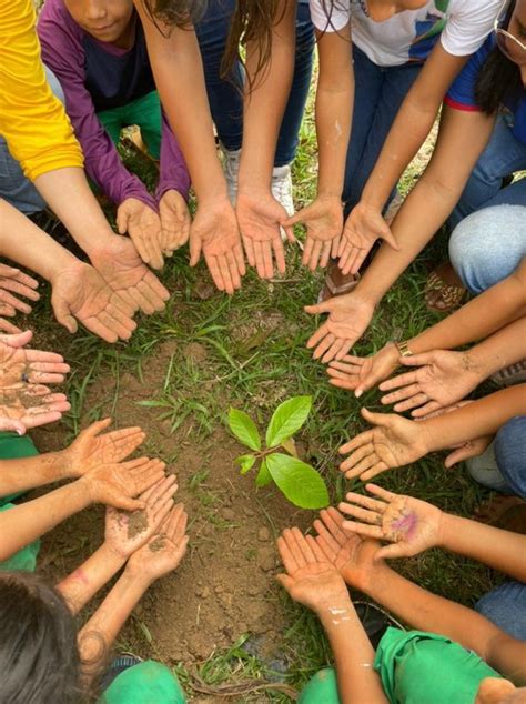 Educação Ambiental Como Processo De Equilíbrio Entre O Progresso E A