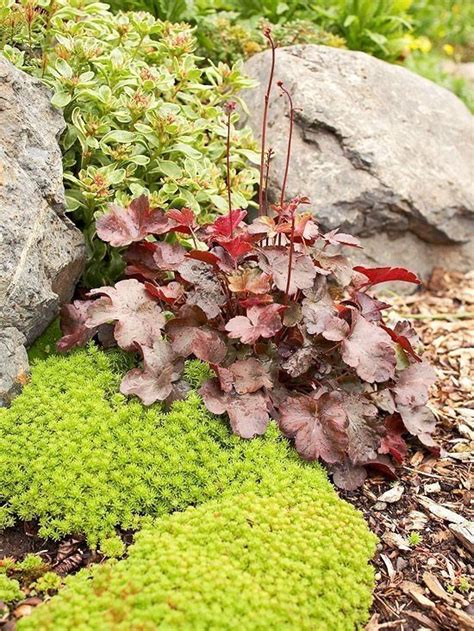 Nice 47 Simple Rock Garden Decor Ideas For Front And Back Yard More At