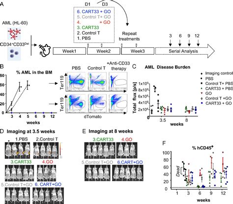 Gene Edited Stem Cells Enable Cd33 Directed Immune Therapy For Myeloid