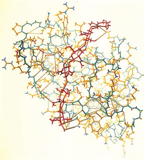 PDB-101: Geis Archive: Lysozyme (512)