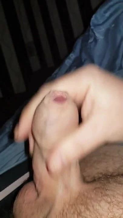 Sprut Gay Bear Porn Xhamster