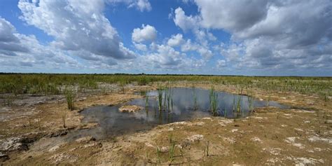 Coping with Drought - Ecological Drought - Climate Program Office