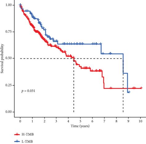 Immune Landscape And Tumor Mutation Burden Tmb In Tcga Cohort A Download Scientific