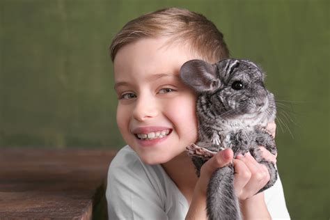 10 besten Haustiere für Kinder Kosten Aufwand Haltung