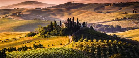 tuscan landscape vineyard