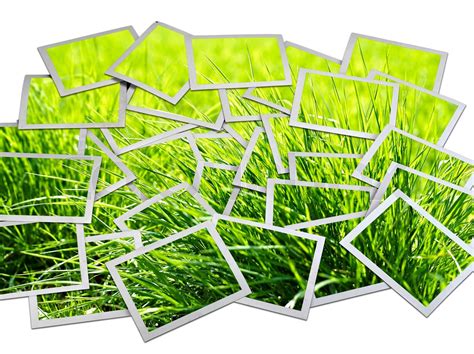 Photo Frame With Green Grass In Pictures Stock Image Colourbox