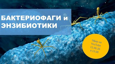 Бактериофаги, часть 2. Применение в медицине. - YouTube