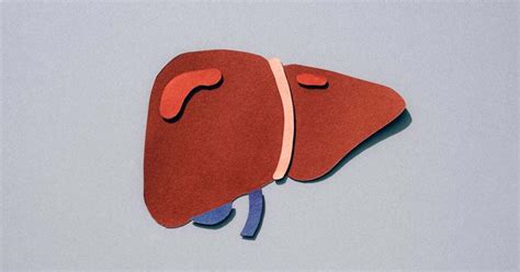 Liver Cancer Stages: Characteristics, Symptoms, and Treatments