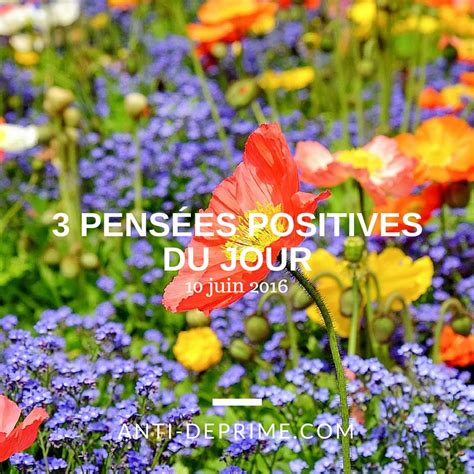 Pens Es Positives Du Jour Juin Cultivons L Optimisme